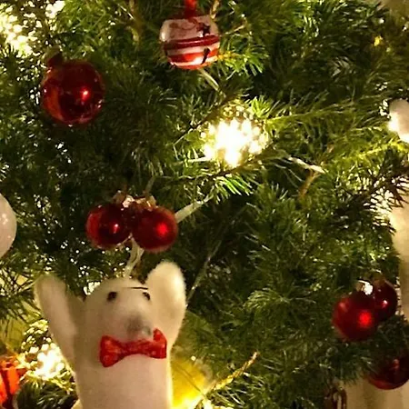 La Maisonette Apartment Oulx