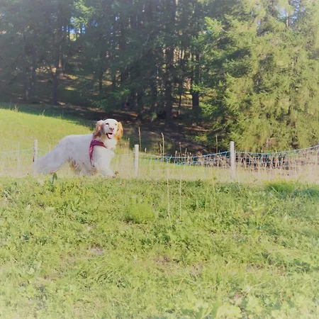 公寓 La Maisonette